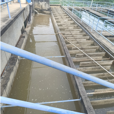 Mezclas Rápidas y Lentas